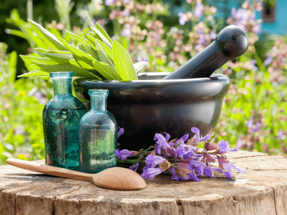 Erbe per bagni medicinali per l'osteocondrosi
